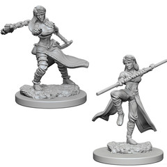 Nolzur's Marvelous Miniatures - Human Monk - Female